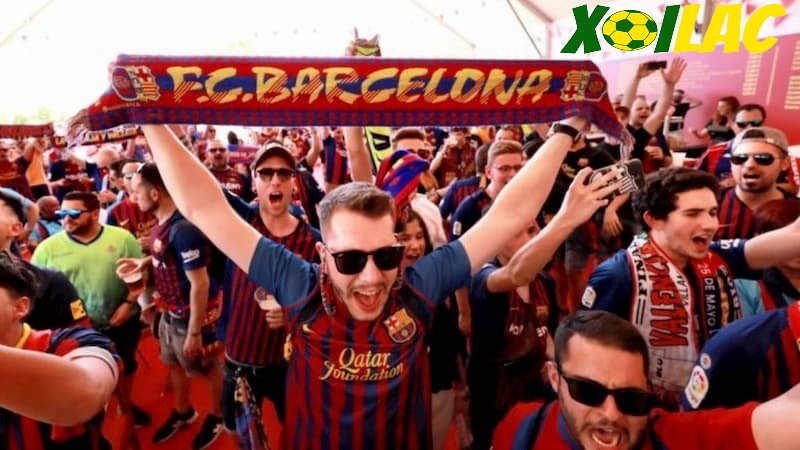 Đặc điểm nhận biết một Cules là gì? Đặc điểm nhận biết một Cules là gì?
