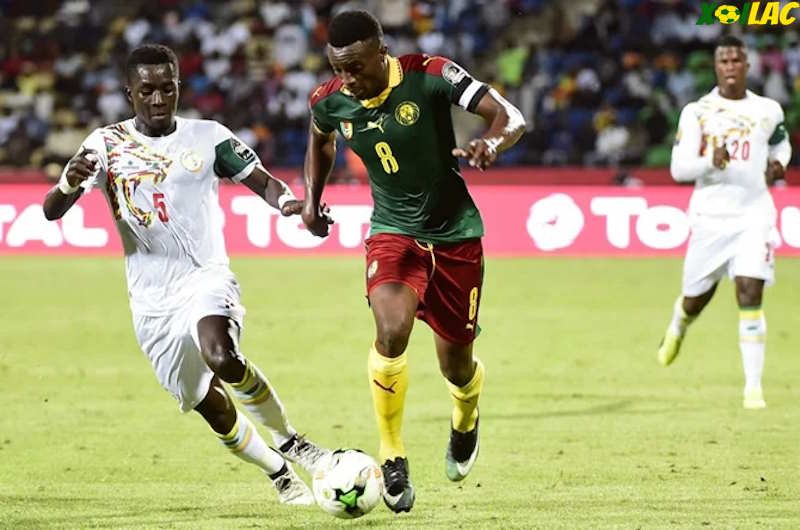 Trận đấu giữa Senegal vs Cameroon sắp tới theo đánh giá của Xoilac sẽ vô cùng hấp dẫn. Trận đấu giữa Senegal vs Cameroon sắp tới theo đánh giá của Xoilac sẽ vô cùng hấp dẫn.