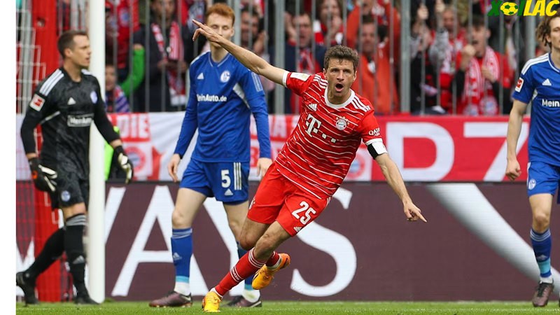 Darmstadt sẽ tiếp đón Bayern Munich trên sân nhà tại vòng 26 Bundesliga Darmstadt sẽ tiếp đón Bayern Munich trên sân nhà tại vòng 26 Bundesliga