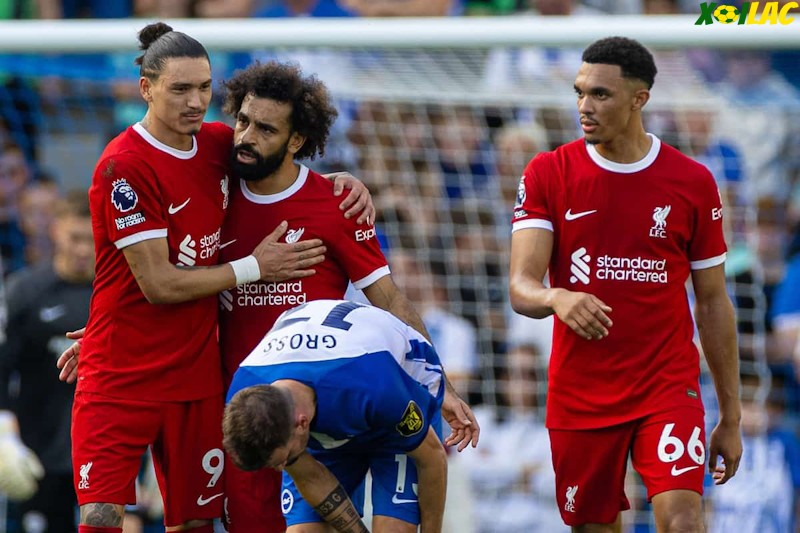 Liverpool sẽ tiếp đón Brighton trên sân nhà tại vòng 30 Ngoại Hạng Anh