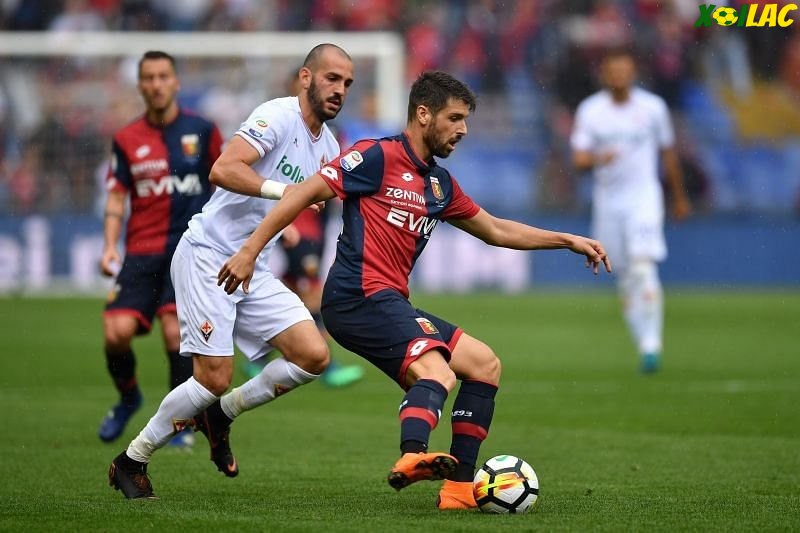 Fiorentina sẽ tiếp đón Genoa trên sân nhà 