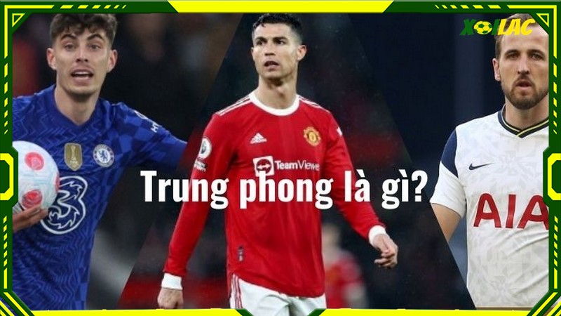 Trung phong là gì? Trung phong là gì?