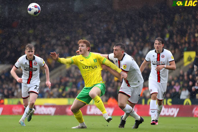 Norwich City se đối đầu với Sheffield United tại vòng 2 hạng nhất Anh