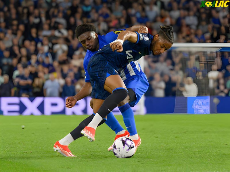 Chelsea sẽ tiếp đón Brighton trên sân nhà