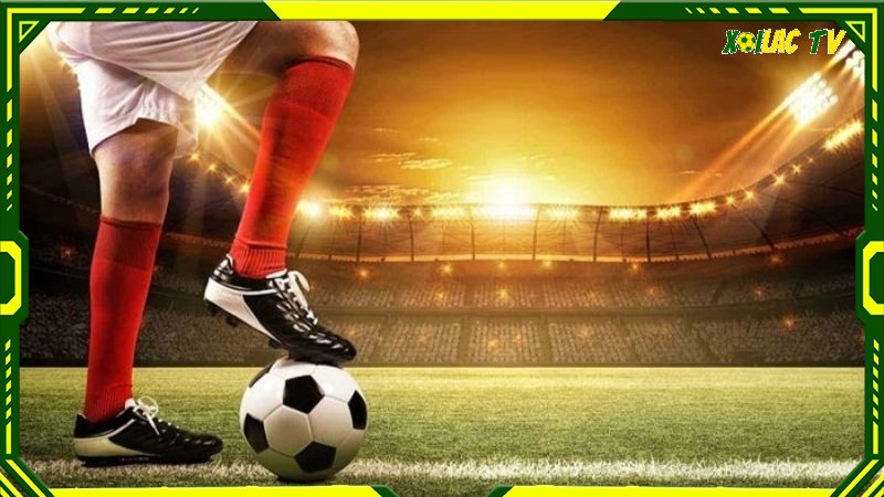 Tác Giả Quá trình xây dựng và phát triển trang web Xoilactv