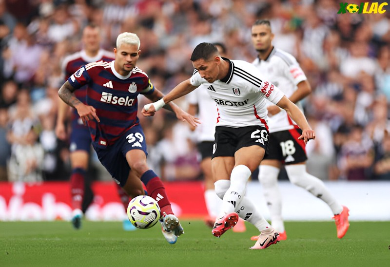 Newcastle sẽ đối đầu Fulham tại vòng 24 Ngoại Hạng Anh