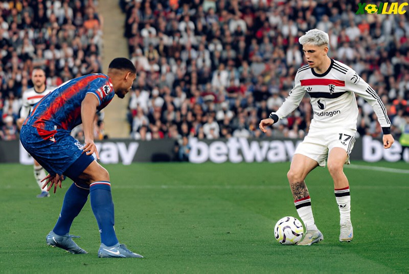 Manchester United sẽ đối đầu Crystal Palace tại vòng 24 Ngoại Hạng Anh