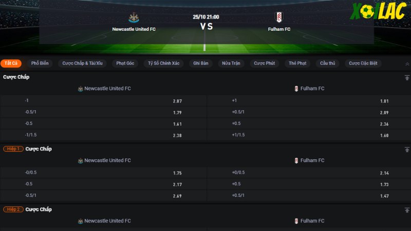 Newcastle vs Fulham