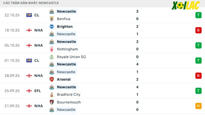 Newcastle - Fulham